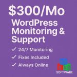 $300 per month WordPress support